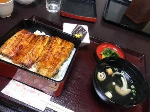 うな藤