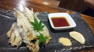 地魚料理・地酒とワイン 桝屋