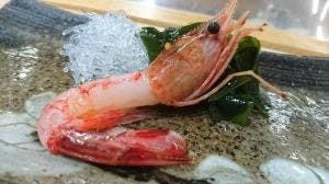 とりで寿司