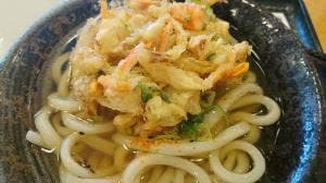 はなまるうどん×吉野家 浜松アリーナ前店