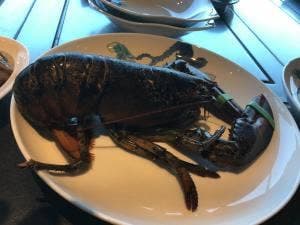 鉄板焼きダイニング竹彩