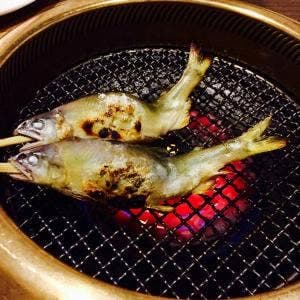 瀬音・湯音の宿 浮羽