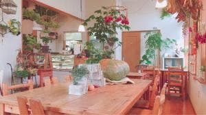 BELLFLOWER 浜松原島本店
