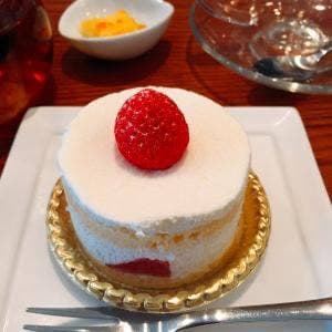 がようし