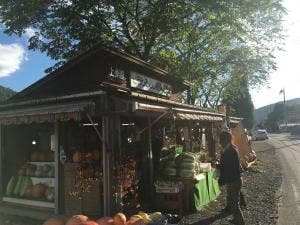 越後屋