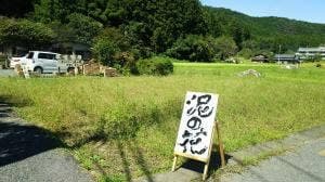 泥の花