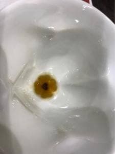 和膳 花庵