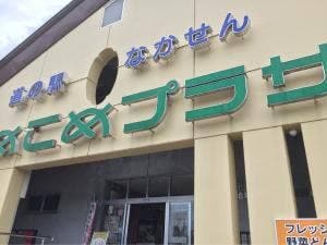 道の駅なかせんこめこめプラザ