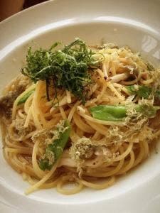 カフェプラス