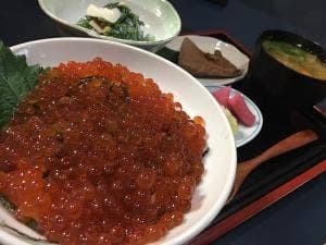 やすらぎ処 石亀