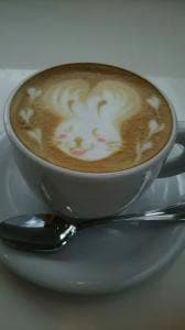 ルージュノワール