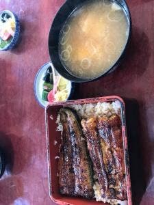 えんどう