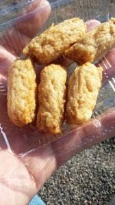 道の駅 田野駅屋