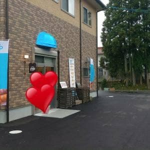 ミスターパンヤ