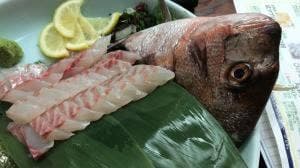 魚魚や本店