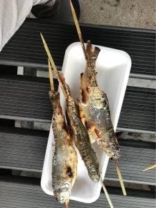 渓流釣り 軽井沢おもちゃ王国