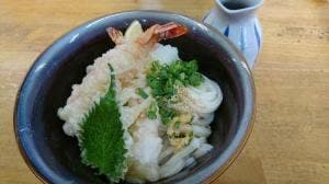 玉藻うどん