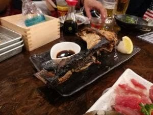 鰓呼吸 石垣島美崎町店