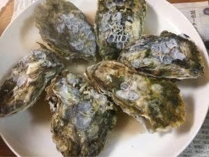 今富水産