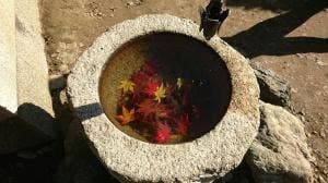 鶏足寺