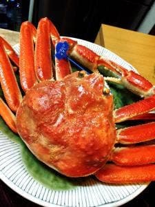 ます多割烹