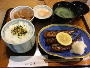 烹月