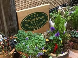 洋菓子マンダリーヌ 本店