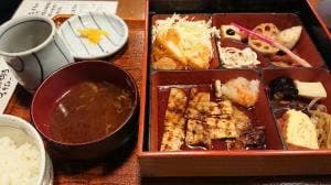 地球 ヤ YA