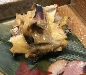旬のお料理 桜