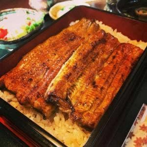 うなぎ 香野月