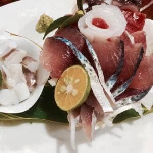 酒菜屋たぬき