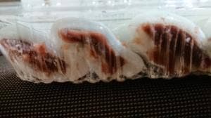 山鹿羊羹 老舗 上村屋