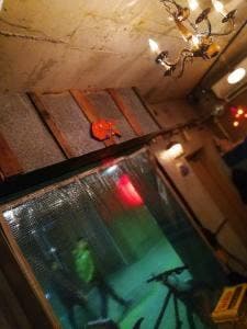 トレイントレイン