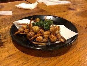 金八