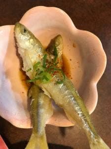 新和風創作居酒屋 ほたる