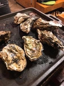 カキ小屋フィーバー名古屋大曽根店