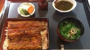 鰻 割烹 仲勢
