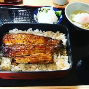 鳥安