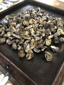 かき焼 うちの海