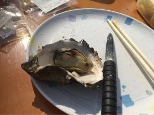 山安水産