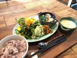 はるひごはん