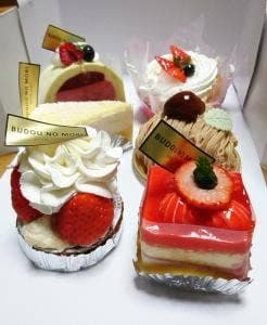 ぶどうの森