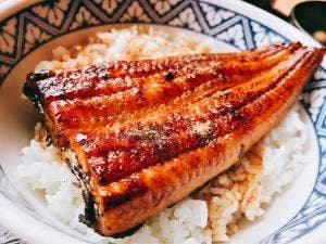 うな政 国吉田店