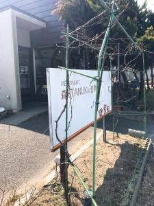 森のタヌキの音楽隊
