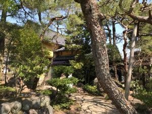 雀の庵