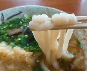 手打ちそばうどん なが山