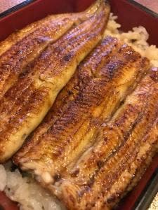 うなぎ・天ぷら かどもと