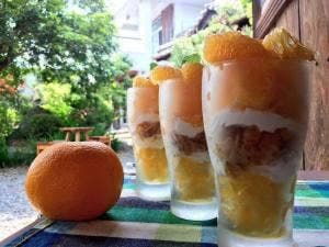 みかんの木