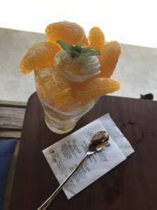 みかんの木