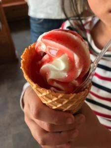 ミルクの家